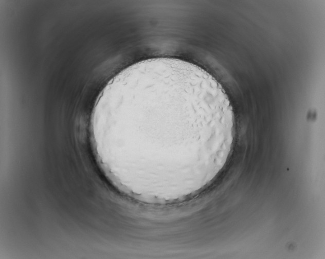 X0000100320026200807031221