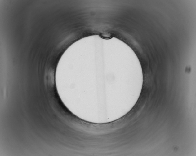 X0000100320027200807031221