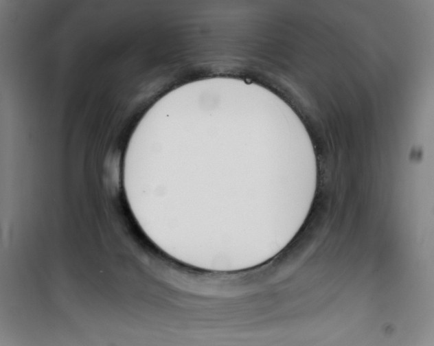 X0000100320028200807031221