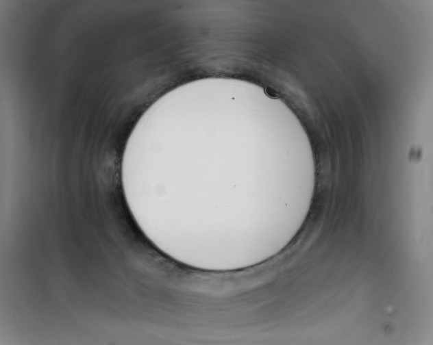 X0000100320029200807031221