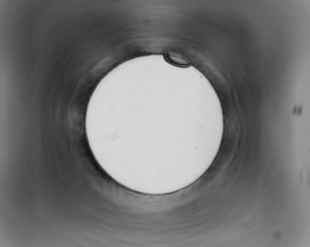 X0000100320031200807031221