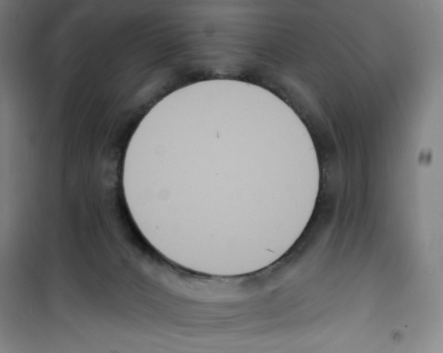 X0000100320032200807031221