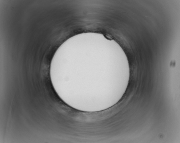 X0000100320033200807031221