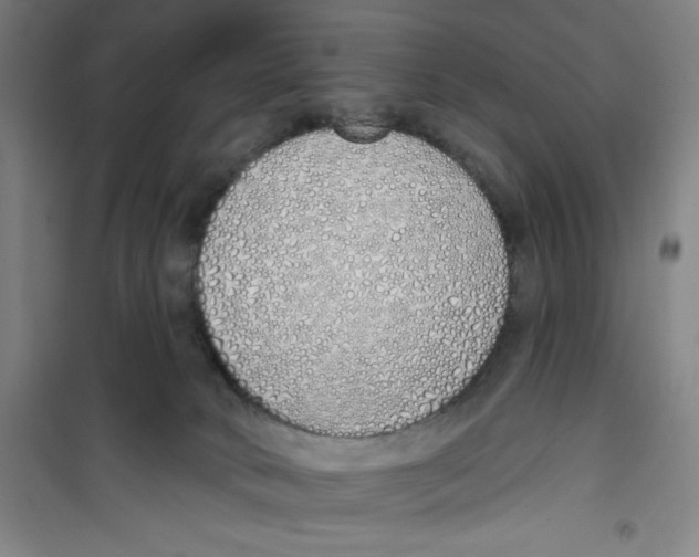 X0000100320034200807031221