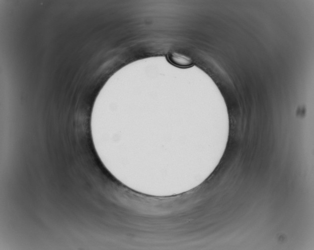 X0000100320035200807031221