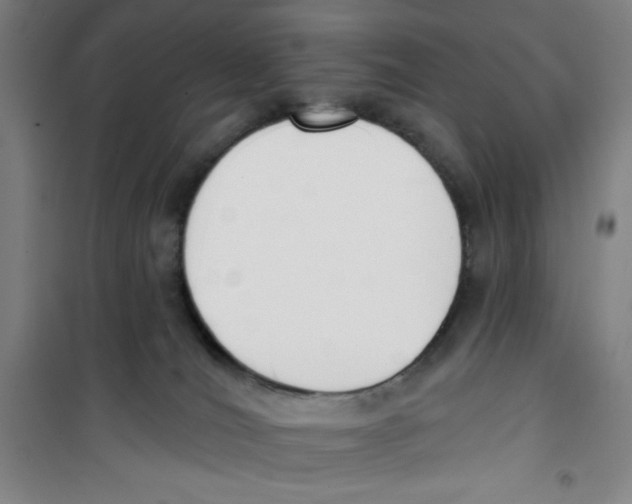 X0000100320036200807031221