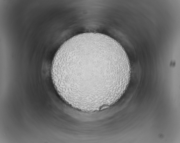 X0000100320038200807031221