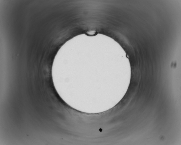 X0000100320039200807031221