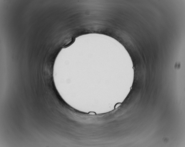 X0000100320040200807031221