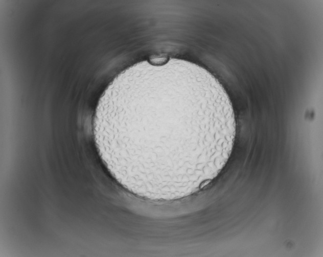 X0000100320042200807031221