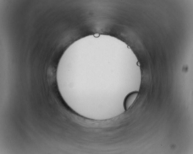 X0000100320043200807031221