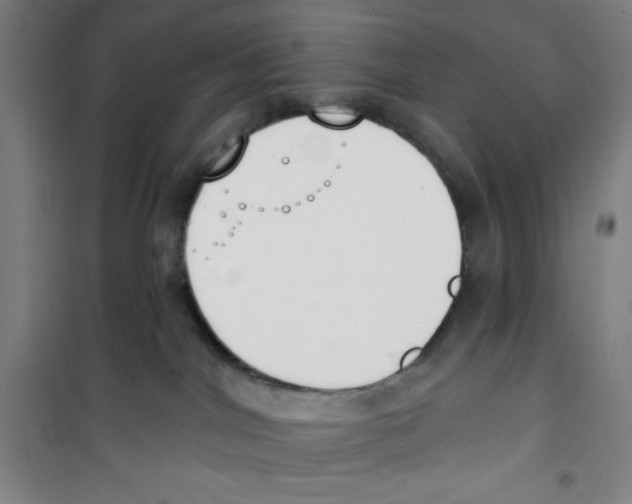 X0000100320044200807031221