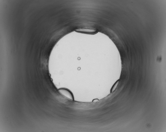 X0000100320045200807031221