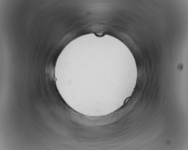 X0000100320046200807031221