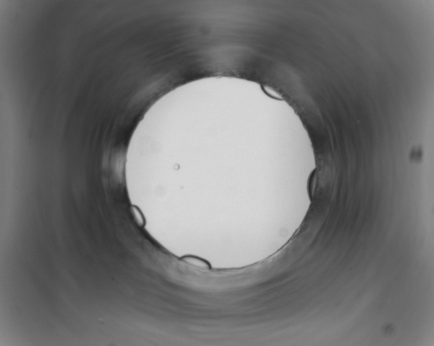 X0000100320047200807031221