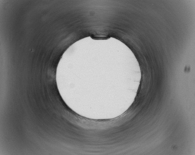 X0000100320048200807031221