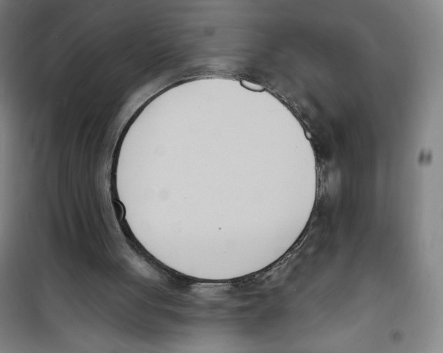 X0000100320051200807031220