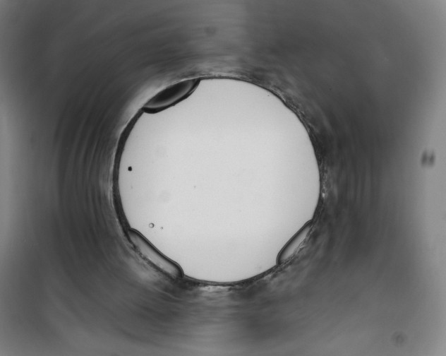 X0000100320052200807031220