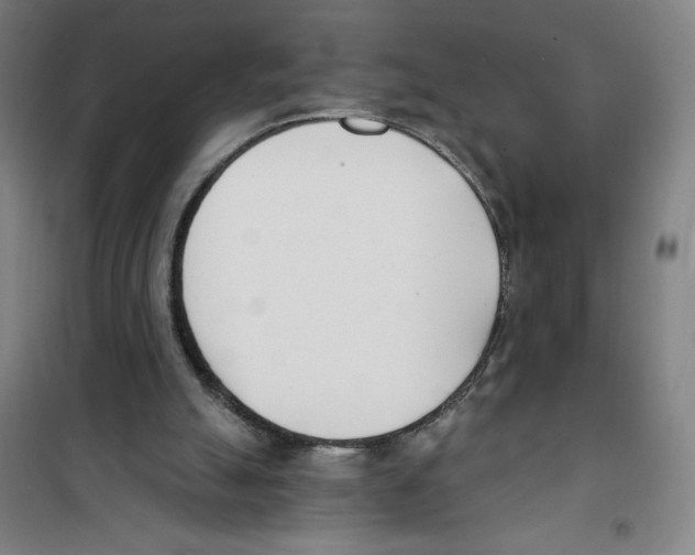 X0000100320055200807031220