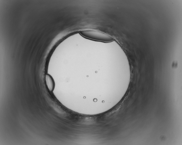 X0000100320056200807031220