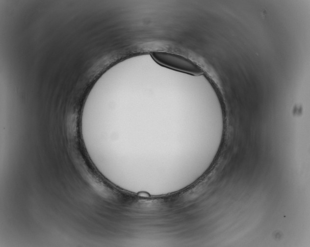 X0000100320057200807031220