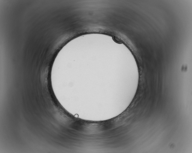 X0000100320058200807031220