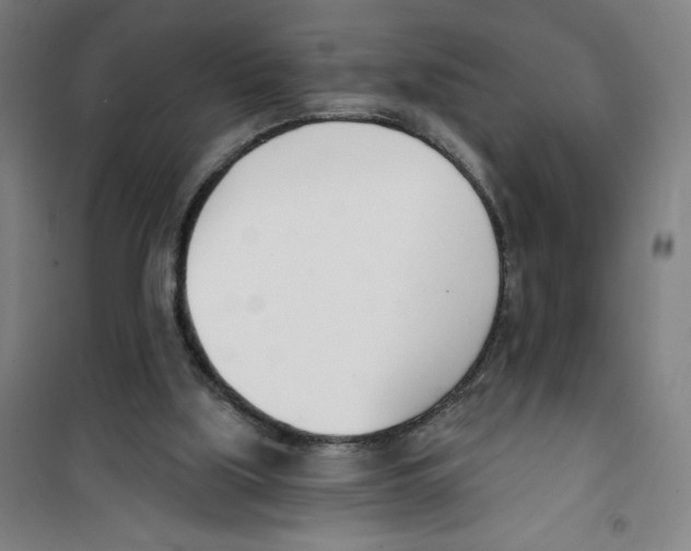 X0000100320059200807031220