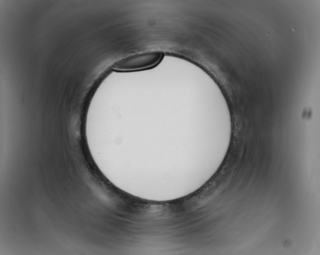 X0000100320060200807031220