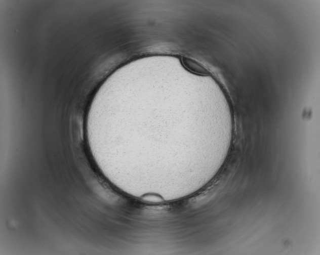 X0000100320061200807031220