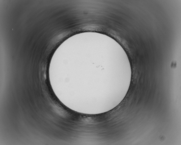 X0000100320062200807031220