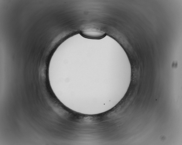 X0000100320064200807031220