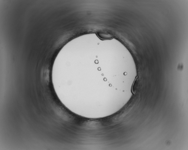 X0000100320067200807031220