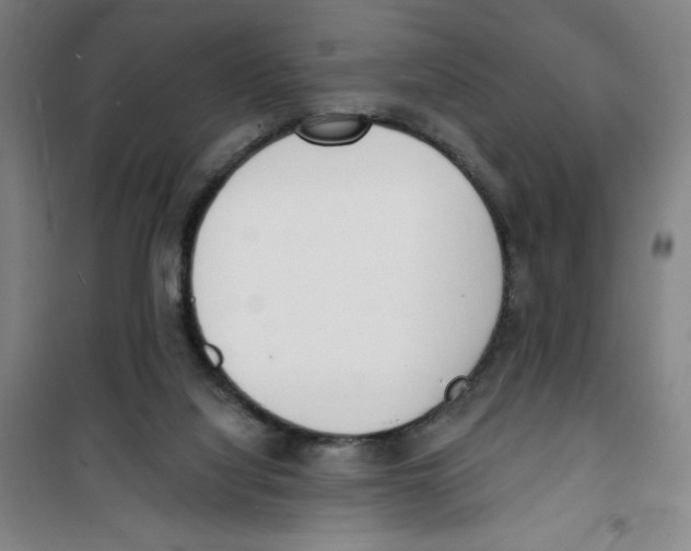 X0000100320068200807031220