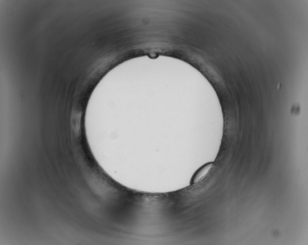 X0000100320070200807031220