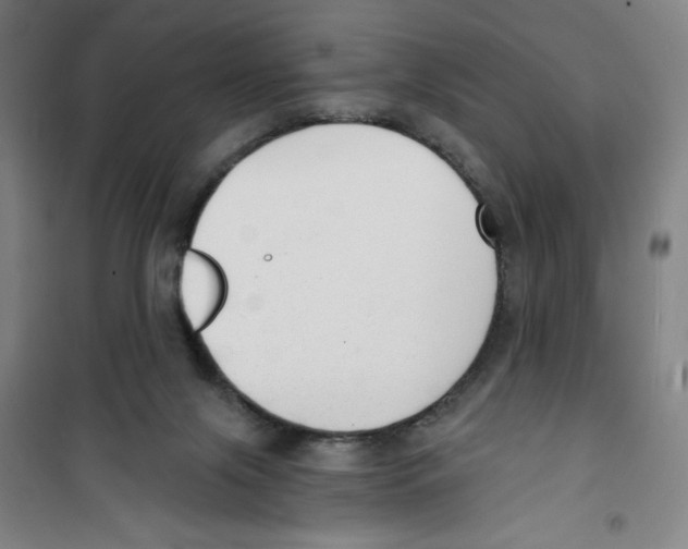 X0000100320071200807031220