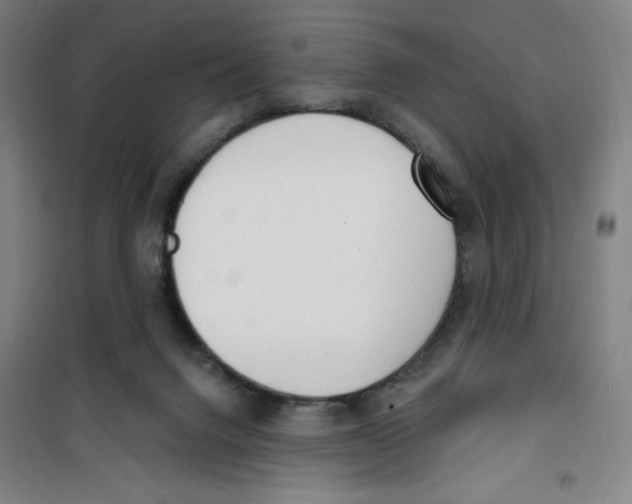 X0000100320072200807031220