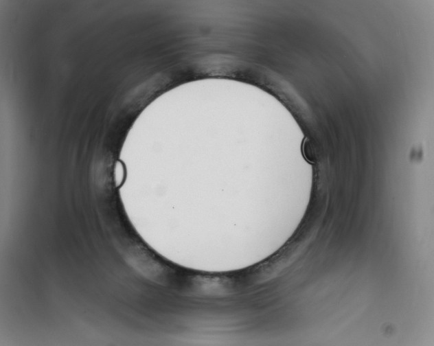 X0000100320073200807031220