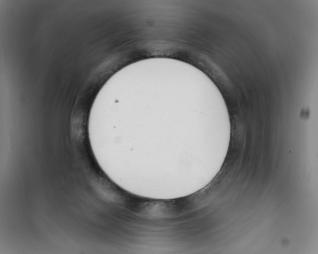 X0000100320074200807031220