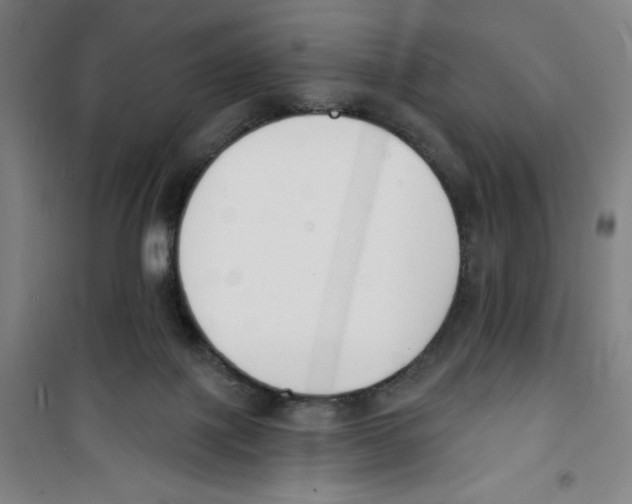 X0000100320075200807031220