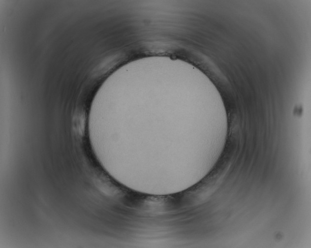 X0000100320076200807031220