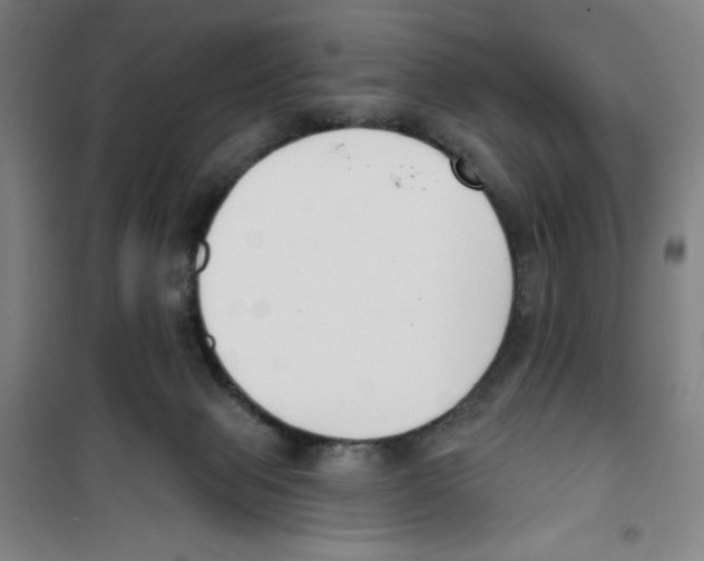 X0000100320077200807031221