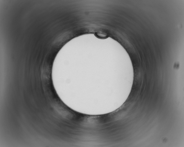 X0000100320078200807031221