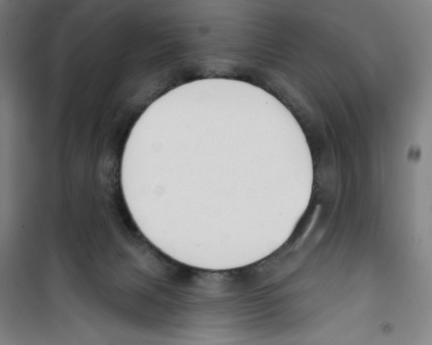 X0000100320079200807031221