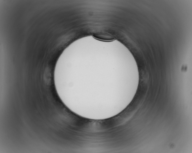 X0000100320080200807031221