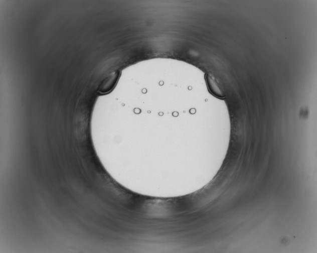 X0000100320082200807031221