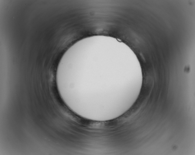 X0000100320084200807031221