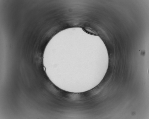 X0000100320085200807031221