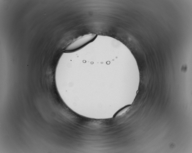 X0000100320086200807031221