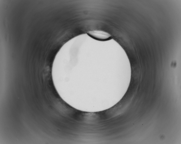 X0000100320087200807031221