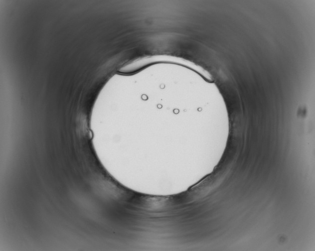 X0000100320089200807031221